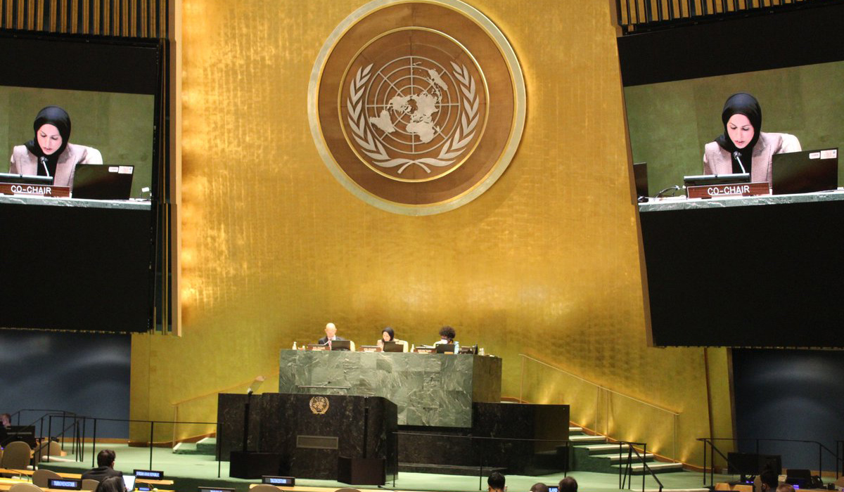 UN Security Council